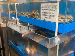-油鸡洪
