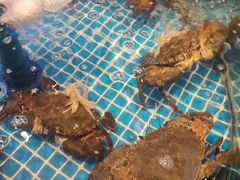 -海立阁海鲜江浙菜(漕河泾印象城店)