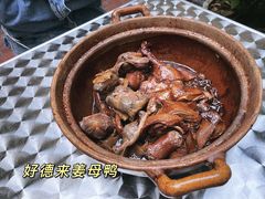 -百家春好德来姜母鸭