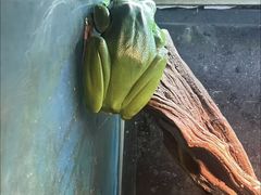 -上海大自然野生昆虫馆(东方明珠·爬宠昆虫探索中心)
