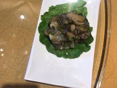 芥末海螺片-燕云楼(云南路店)