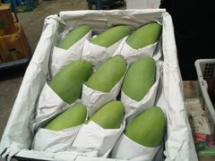 -双福水果批发市场