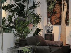 -自由生长植物工作室(深港花卉中心店)