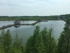 -溱湖国家湿地公园