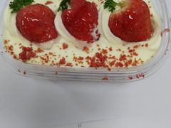 红梅点雪-津乐园(王顶堤店)