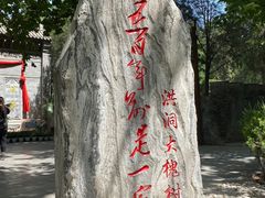-大槐树寻根祭祖园