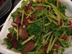 香菜拌牛肉-厨林泥鳅庄(雪松路店)