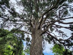 -终南山南五台景区