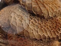 -辉记牛肉馆(泉州店)