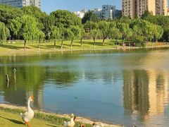 -黄兴公园