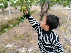 -新塘水果乐园(东洲大道店)