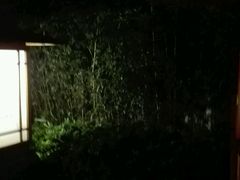 -唐风温泉
