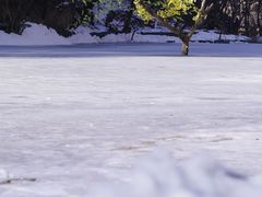 -少华山国家森林公园