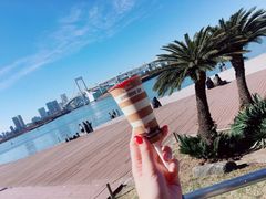 -台场海滨公园船码头