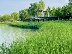 -象湖生态湿地公园