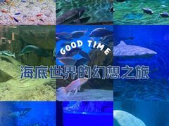 -蓬莱欧乐堡海洋极地世界