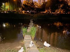 -南翠屏公园