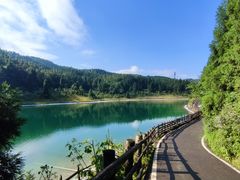 -武陵山森林公园