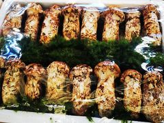 -云南木水花野生菌交易中心