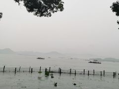 -杭州君悦酒店