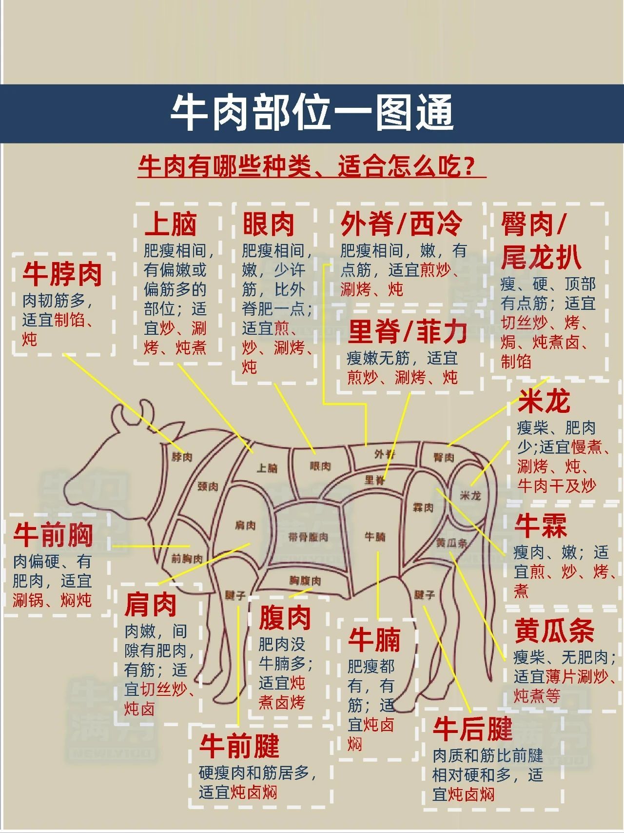 0元玩转这座城 牛肉各部位的特点知多少