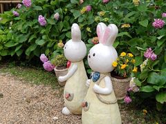 -上海共青森林公园