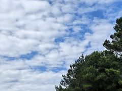 -綦江古剑山