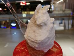 -野人先生现做冰淇淋(北京环宇荟店)