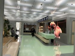 -纯粹医美