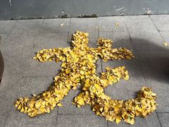 -龙华素斋(龙华路店)