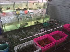 -田源农家饭店·窑鸡王·海鲜(东部湾·融创店)