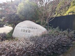 -宁海安岚·南溪阁全日餐厅
