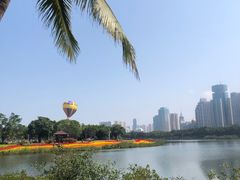 -万绿园