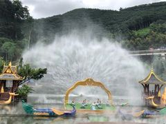 -西双版纳原始森林公园