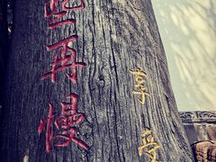 -慢丽江·云南野生菌土鸡锅(付家庄店)
