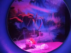 -欢乐海岸海洋奇梦馆