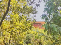 -大屏嶂森林公园
