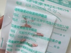 -谐和贝康宠物医院24小时·宠保定点(急重症转诊中心)