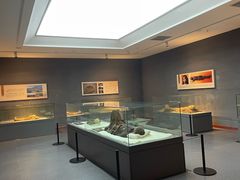 -巴音郭楞蒙古自治州博物馆