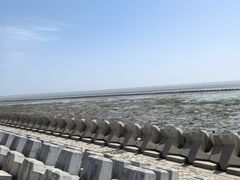 -南汇嘴观海公园