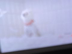 -银河电影城(中国巨幕斗门店)