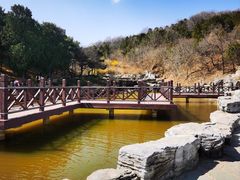 -北京西山国家森林公园