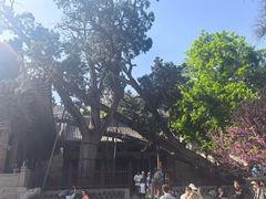 -晋祠公园