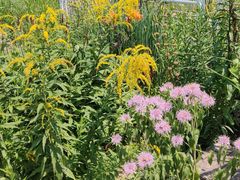 -北京植物园南门售票处