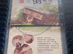 -金山农民画村-枫泾波兰倒置屋