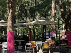 -合肥滨湖国家森林公园