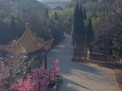 -函谷关历史文化旅游区