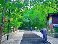 -灵岩山风景区