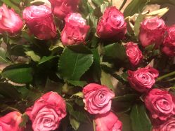 -咪咪比基尼脱毛专业店