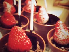 -无锡梁鸿湿地丽笙度假酒店·流觞西餐厅